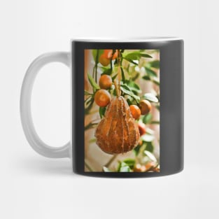 Pear in a Calamondin Tree Mug